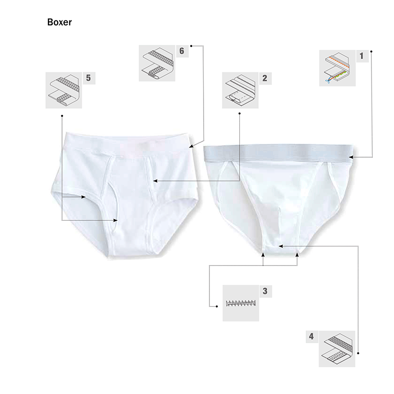 Boxer